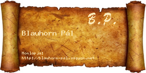 Blauhorn Pál névjegykártya
